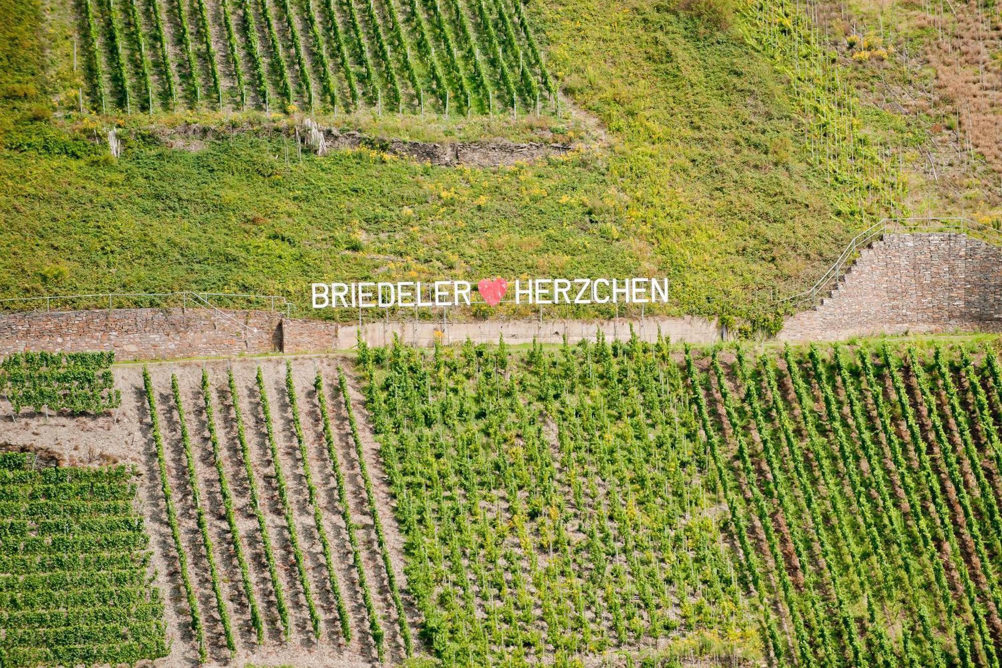 Wein- Und Sektgut Markus Hensler Briedel Exteriér fotografie